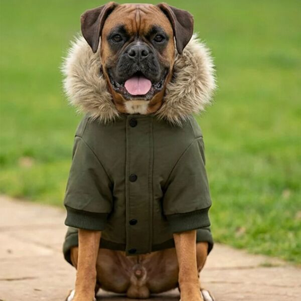 Dog’s parka jacket Thumbnail